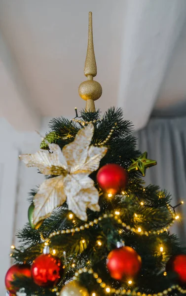 Die Krone Des Neuen Weihnachtsbaums Ist Ein Krupynm Plan — Stockfoto