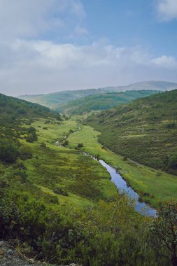 Yeşil bir vadide, arka planda dağlar olan bir çayırda akan nehir.