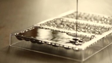 Kalıpları siyah çikolata dolduruyor..