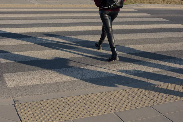 Women Legs Zebra Crosswalk — Stock Photo, Image