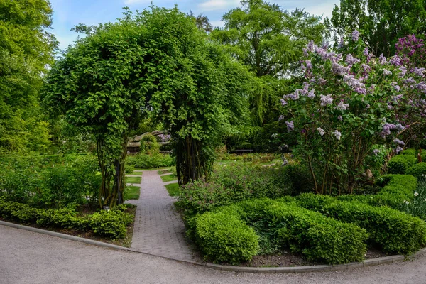 Entrada Para Gramado Através Arco Plantas — Fotografia de Stock