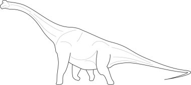 Diplodocus