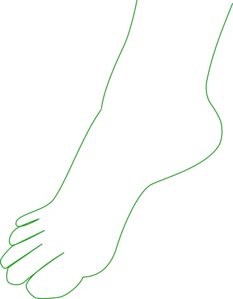 Human feet green line-art — Stock Vector