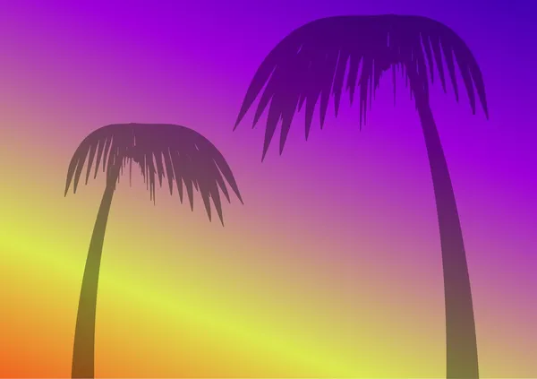 热带棕榈树 — 图库矢量图片