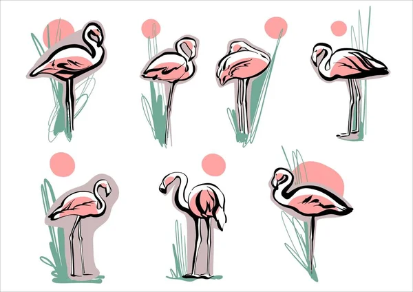 O conjunto é uma coleção de flamingos ao pôr do sol com plantas verdes e água. Ilustração no estilo de esboço, desenho de mão na moda. Vetor. — Vetor de Stock