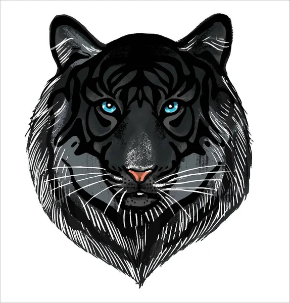 Un tigre noir sur fond blanc. La tête est un portrait d'une bête prédatrice. Le symbole de 2022. — Image vectorielle