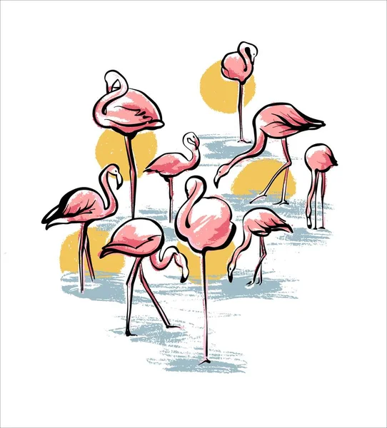Pink flamingos in the water at sunset. Illustration for postcards and books. Sketch by hand. — Stock Vector