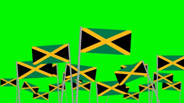 Hand Hold National Flag Jamaica Isolated Green Background Focused Front — Photo