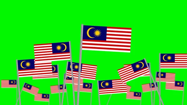 Hand Hold National Flag Malaysia Isolated Green Background Focused Front — Stock Photo, Image