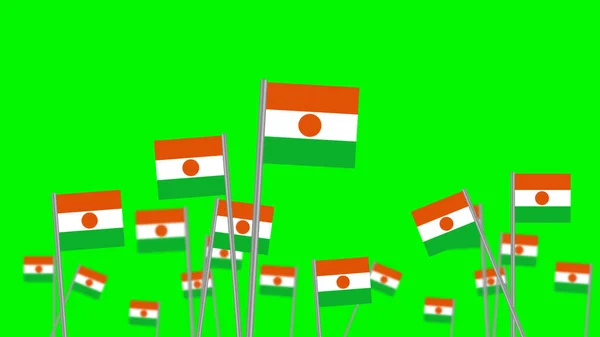 Hand Hålla Nationell Flagga Republiken Niger Isolerad Grön Bakgrund Fokuserad — Stockfoto