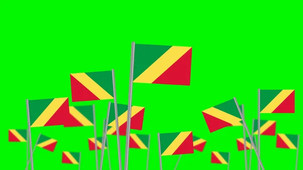 Hand Hold República Bandeira Nacional Congo Isolado Fundo Verde Focado — Fotografia de Stock