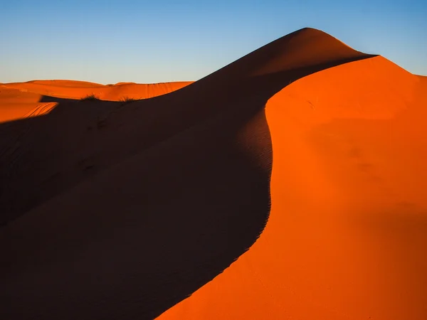 Sand dunes of Erg Chebbi — Stock Photo, Image