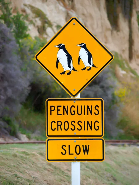 Yol roadsigns geçerken penguenlerin — Stok fotoğraf