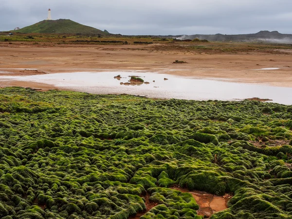 Geotermální pole gunnuhver — Stock fotografie