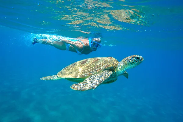 Grön havssköldpadda med snorkling kvinna — Stockfoto