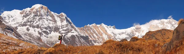 Wandern im Himalaya — Stockfoto