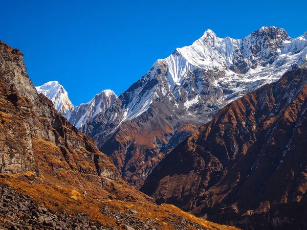 Annapurna pico sul — Fotografia de Stock
