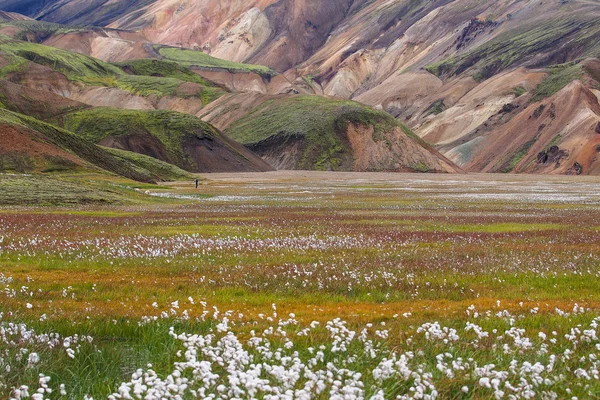 Landmannalaugar fjallabak 性质 — 图库照片