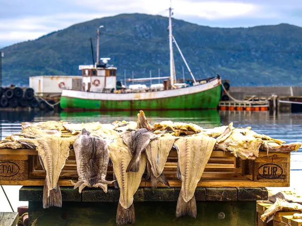 Lager fisk hud i hamnen — Stockfoto