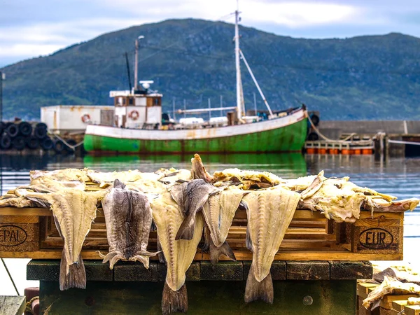 Stock fish skin in harbour — Stock Photo, Image