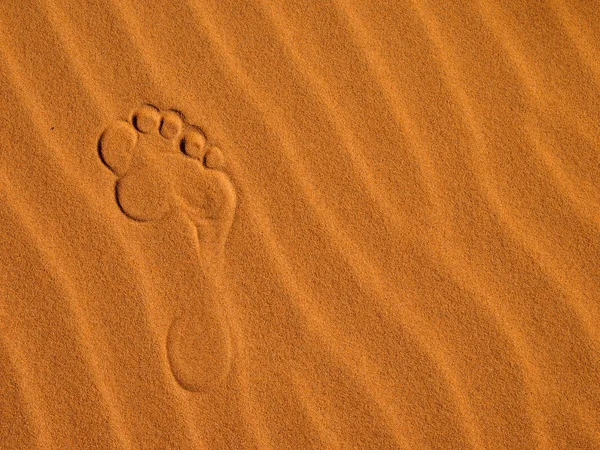 Fußtritt auf Sanddünen — Stockfoto