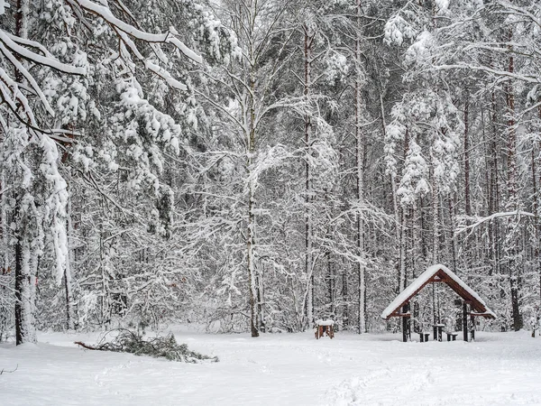 Small shelter in snowy forest — Stock Photo, Image