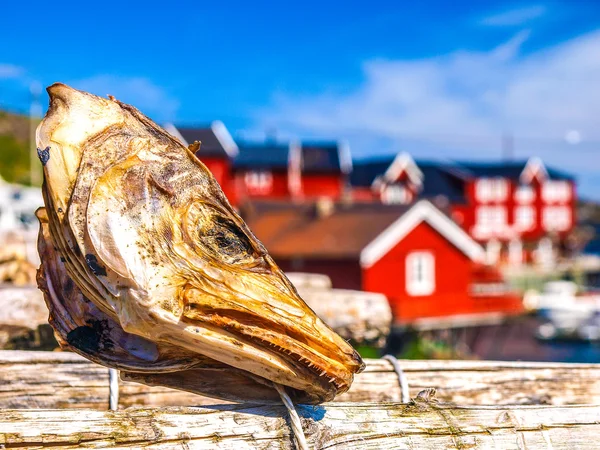 Dried stockfish — Stock Photo, Image