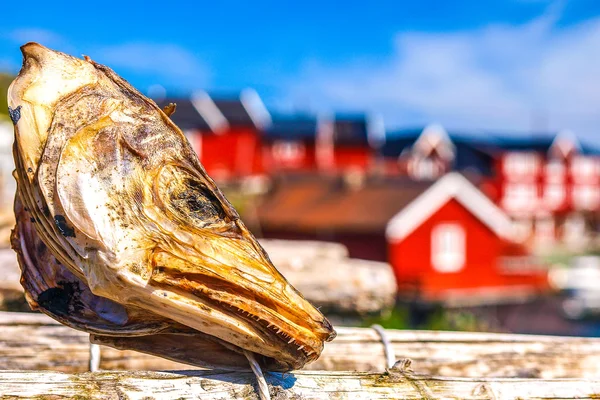 Dried stockfish Royalty Free Stock Photos