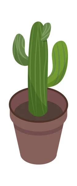 Cactus verde de plantas domésticas en maceta aislado sobre blanco — Vector de stock