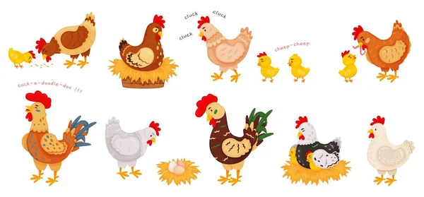 Dibujos animados divertidos pollos, gallinas y gallos, polluelos lindos. Pollo en el nido con huevos, pollita y gallina madre, animales de granja vector conjunto — Vector de stock