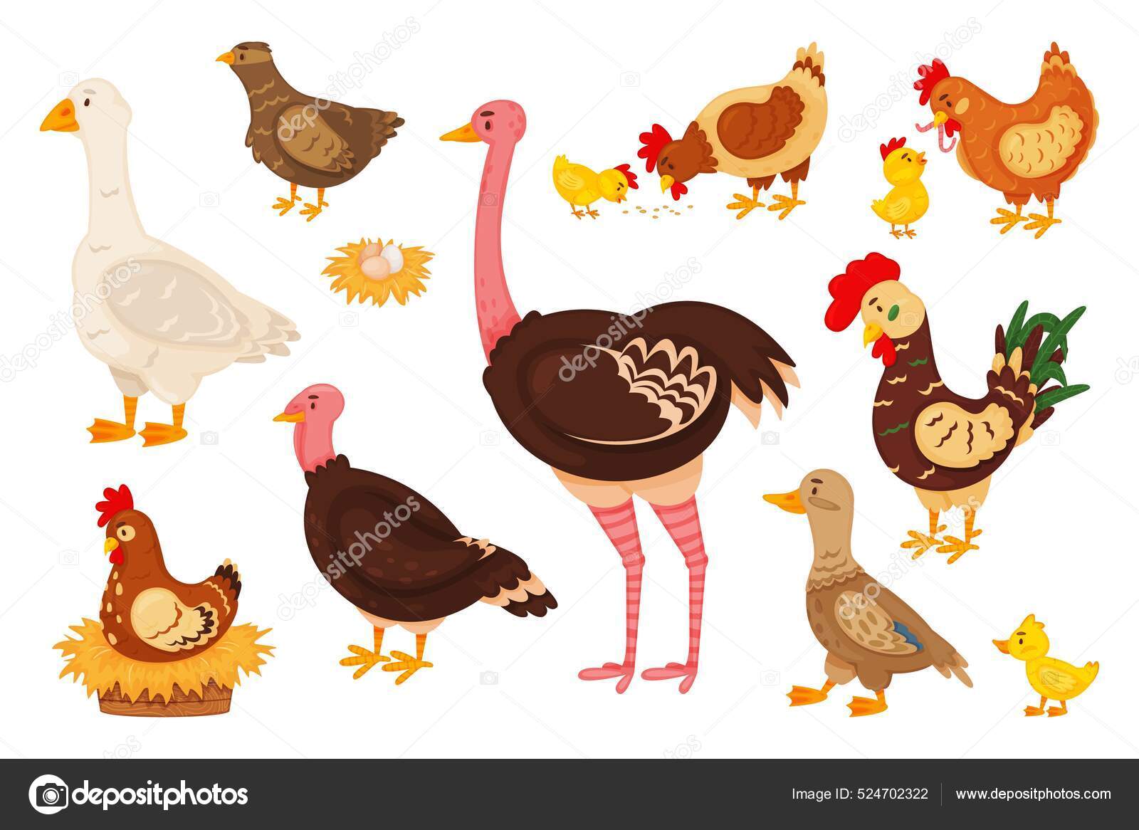 카툰 농장의 새, 귀여운 병아리, 암탉, 수탉. 닭, 거위, 오리, 칠면조, 메추라기, 타조, 알을 품고 둥지를 틀고 있는 새들 스톡  벡터 - ©vatruska 524702322, image size:1600x1166