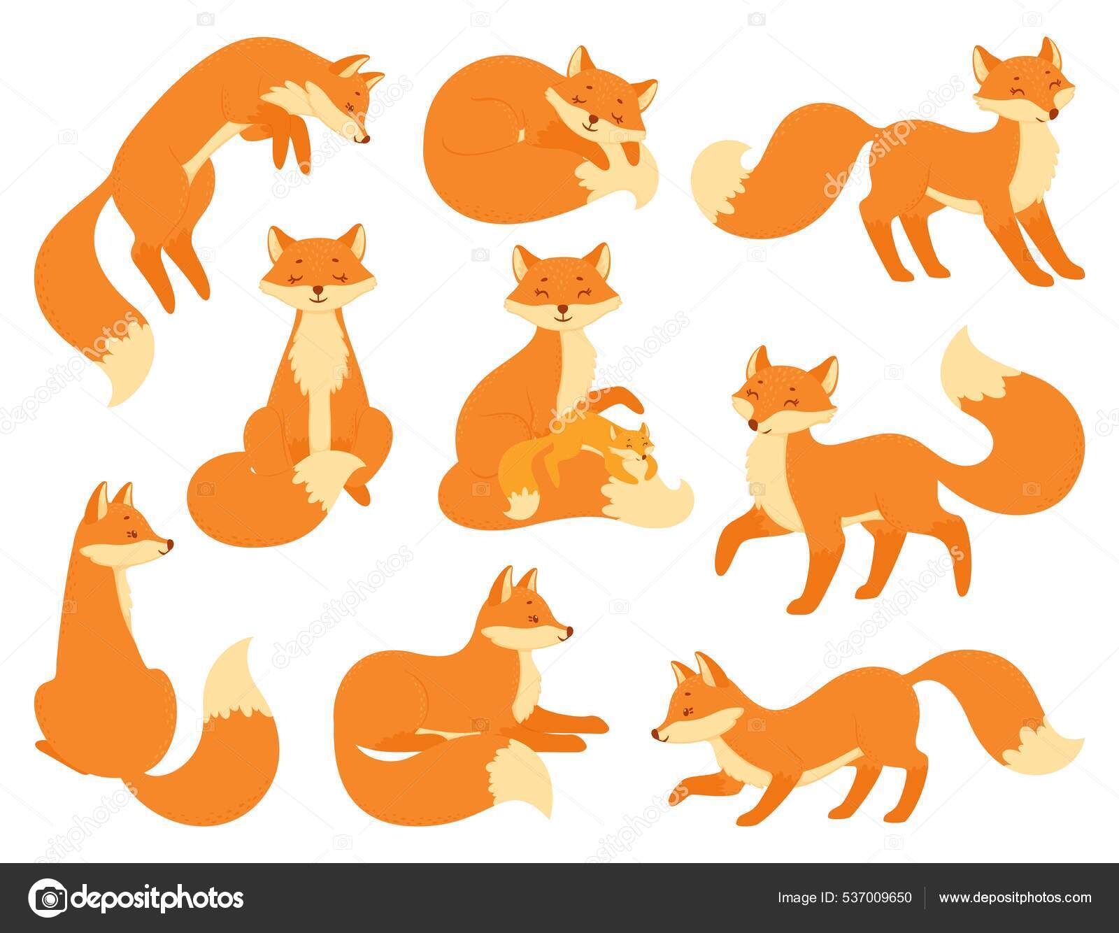 Vetores de Fox Desenhos Animados De Animais Jogo De Raposas