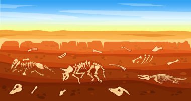 Karikatürlerdeki dinozor fosilleri, gömülü dinozorlar iskeletleri. Tarih öncesi iskeletler vektör illüstrasyonuyla yer altı toprak kesiti