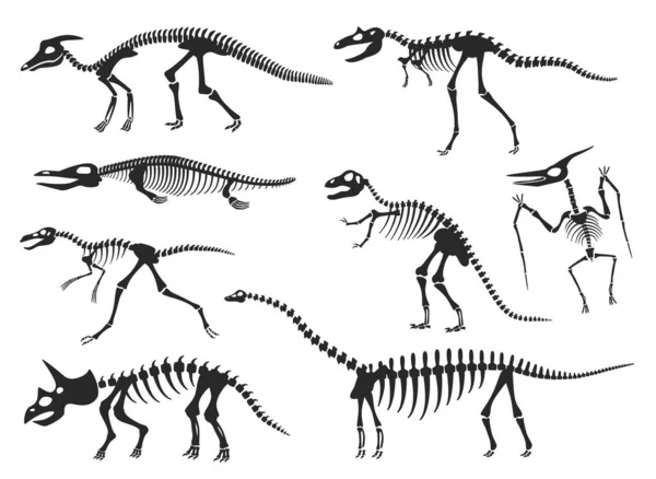 Dinosaurs skeleton silhouette, diplodocus, velociraptor, pterodactyl bones. Prehistoric dinosaur fossils, ancient animal skeletons vector set — Stockvektor