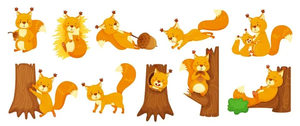 Cartoon cute squirrels sleeping, jumping, sitting on branch. Happy squirrel holding acorn, forest wildlife animal, woodland mascot vector set — Wektor stockowy