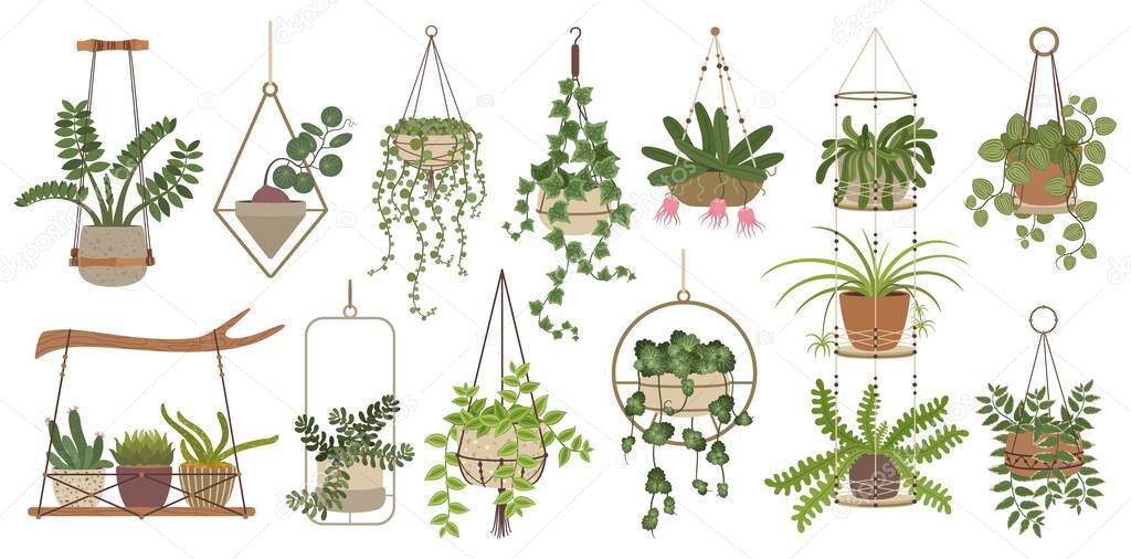 Hanging plants, indoor potted houseplants in macrame hangers. Home plant in handmade hanger, house interior decor elements vector set