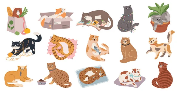 Schattig pluizig kitty collectie spelen of slapen — Stockvector