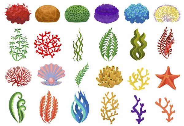 Kolorowe wodorosty i koralowce, podwodne morze lub ocean — Wektor stockowy