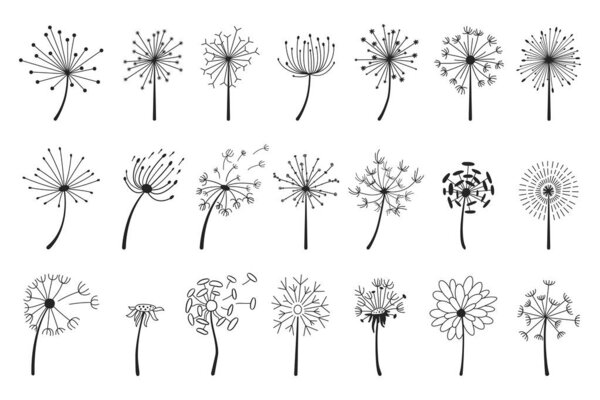 Hand drawn dandelions with flying seeds, dandelion flower heads. Abstract blowball flowers doodle silhouette, spring blossoms vector set