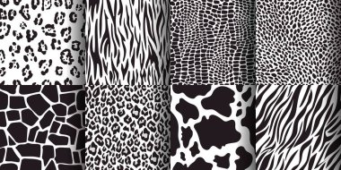 Hayvan derisi deseni, zürafa, leopar, kaplan, inek izi. Vahşi yaşam hayvanları doku, zebra, çita derisi desen vektörü ayarlandı