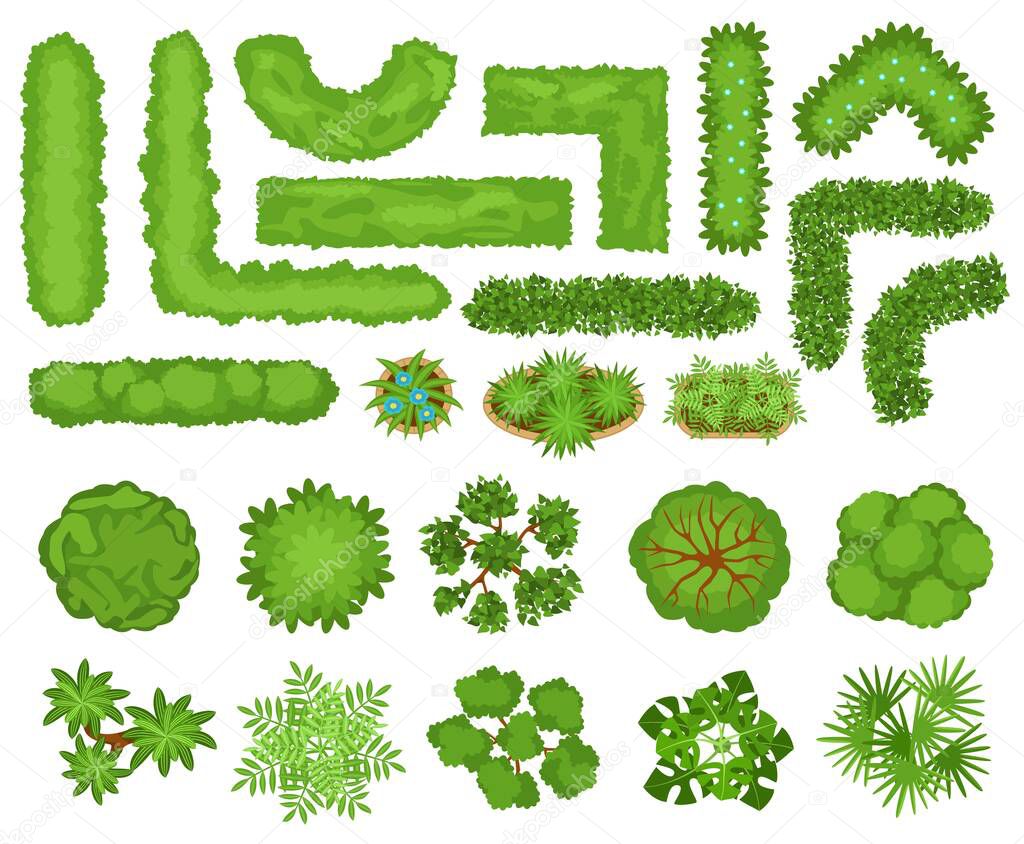 Top view trees, plants, garden bushes and hedges for landscape design. City park landscaping elements, hedge, bush, flowers vector set