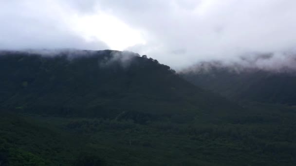 Kamczatka, Rosja-27 sierpnia 2020: Wolno poruszający się krajobraz górski we mglistej mgle i dużym lasie.4k, materiał filmowy — Wideo stockowe