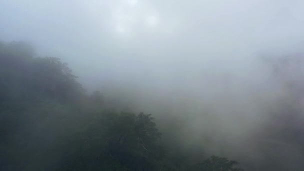 Kamchatka, Rusland-aug 27,2020: Slow motion vliegen weg uitzicht op de berg in mistige mist en grote bossen.4k, beeldmateriaal — Stockvideo