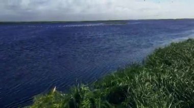 Okhotsk denizinin hava sahili, insansız hava aracı martı sürüsü. Kamçatka, Rusya
