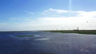 Okhotsk Denizi 'nin havadan panoramik deniz manzarası. İHA' lar kıyıya yakın uçuyor. Kamçatka, Rusya. 4k, görüntüler