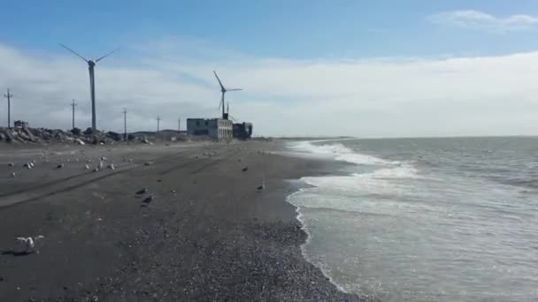 Vzdušný přímořský plášť pobřeží Okhotsks se 2 budovami, mlýny a hejnem racků — Stock video