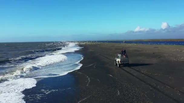 カムチャッカ海岸での車のカモメの群れを運転の空中パノラマビュー。 4k,映像 — ストック動画