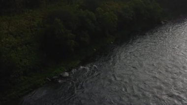 Nehir kıyısının ayaklı ayısı Kamçatka ile dikey hava manzarası.