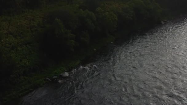 Paisaje panorámico vertical aéreo de la orilla del río con oso andante, Kamchatka. — Vídeos de Stock