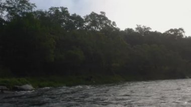 Yürüyen kahverengi ayıyla nehir kıyısının panoramik görüntüsü, Kamçatka.